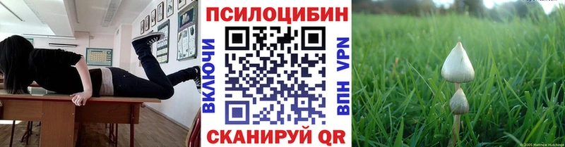 mega вход  купить  сайты  Хадыженск  Галлюциногенные грибы Cubensis 