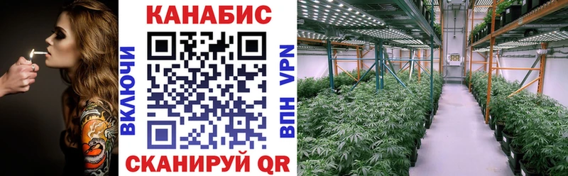 Шишки марихуана White Widow Хадыженск